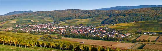 Pfaffenweiler Panorama